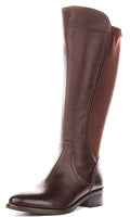 Ashley | Brown Elasticated Riding Boots for Women 6