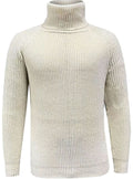 Nolan | Ribbed Knit Turtleneck Sweater for Men 5
