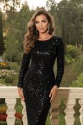 Mia | Long Sleeve Sequin Fitted Midi Cocktail Dress for Women 2