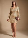 Noemi | Relaxed Fit Sequin V-Neck Long Sleeve Mini Dress for Women 3
